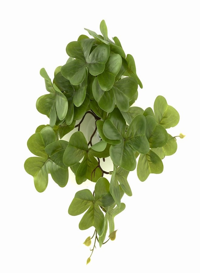 WOLEDOE Reptile Plants for Terrarium, Amphibian Habitat Decor Artificial Hanging Plants with Suction Cup - Fake Shamrock - Image 1